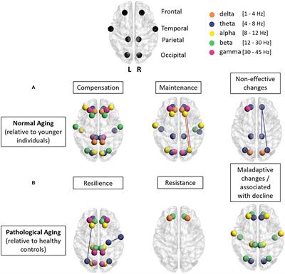 M/EEG Dynamics Underlying Reserve, Resilience, and Maintenance in Aging: A Review